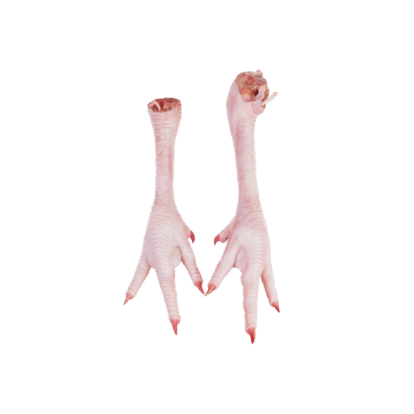 CHICKEN FEET - Image 3