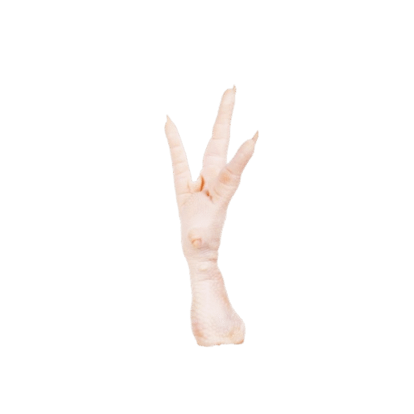 CHICKEN FEET - Image 4
