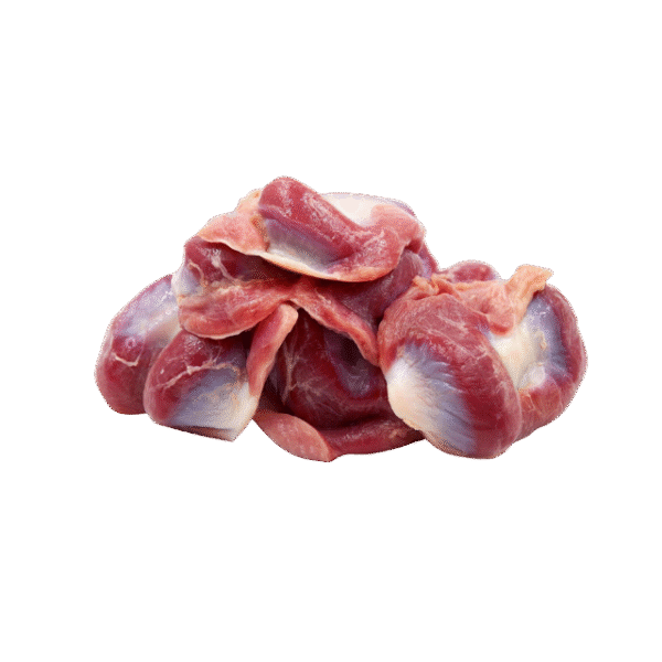 CHICKEN GIZZARD - Image 4