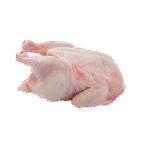 WHOLE CHICKEN