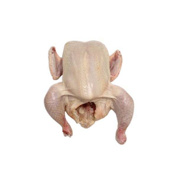 WHOLE CHICKEN - Image 2