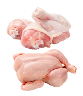 Elite Butchers